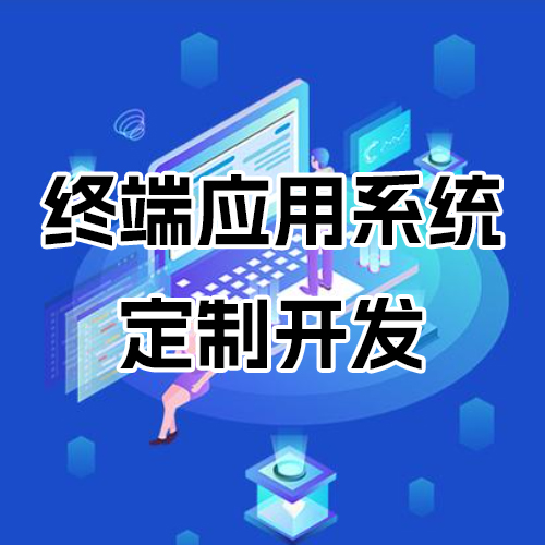 終端應用系統定制開發